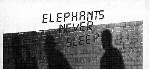 elephantsneverslep